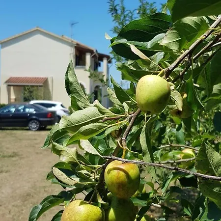 Georgia Roda (Corfu)